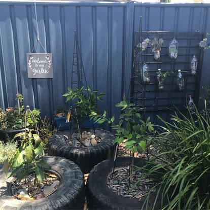 Plants growing in recycled tyres at Lakeview Preschool